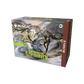 Magic The Gathering - Secrets of Strixhaven - Bundle