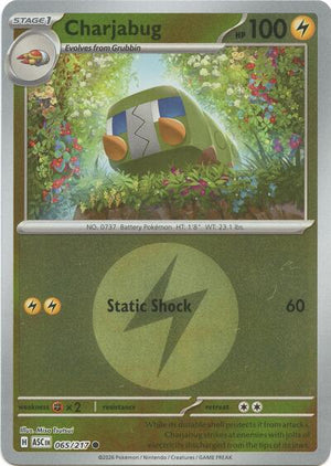 Pokemon TCG - ME: Ascended Heroes - Charjabug - 065/217 - Energy Symbol Reverse Holofoil