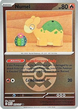 Pokemon TCG - ME: Ascended Heroes - Numel - 027/217 - Reverse Holofoil