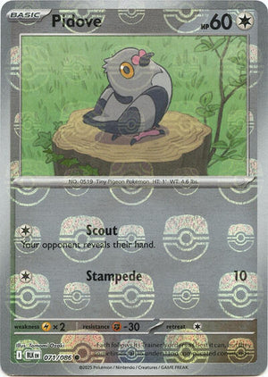 Pokemon TCG - SV10.5: Black Bolt - Pidove - 071/086 - Masterball - Holofoil