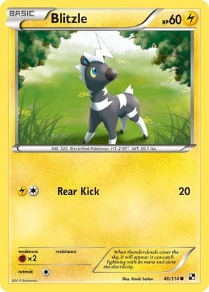 Pokemon TCG - Black & White - Blitzle - 40/114