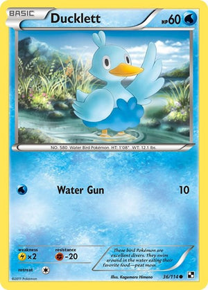 Pokemon TCG - Black & White - Ducklett - 36/114