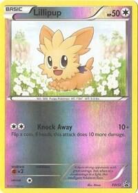 Pokemon TCG - Black & White Promos - Lillipup - BW52 - BW52 - Reverse Holofoil