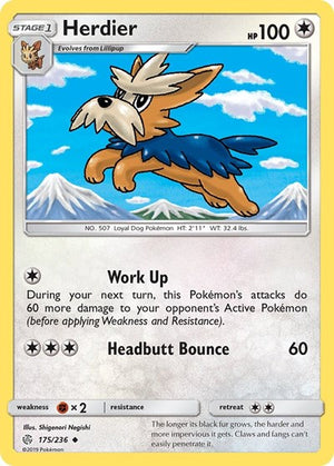Pokemon TCG - SM - Cosmic Eclipse - Herdier - 175/236