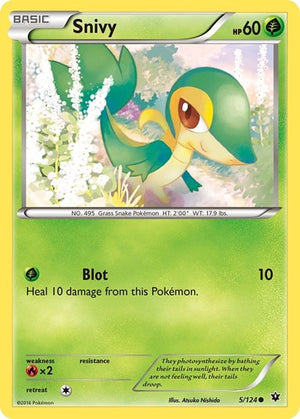 Pokemon TCG - XY - Fates Collide - Snivy - 5/124