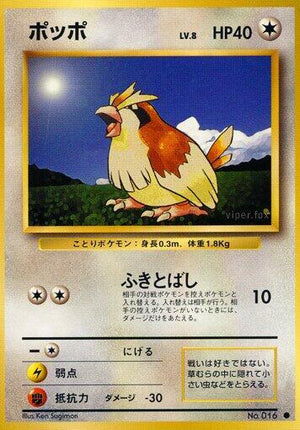 Pokemon TCG - [JP] Expansion Pack - Pidgey