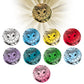 Pokemon - Simplified Chinese - Terastal Grand Gathering - Coin Set (Vaporeon)