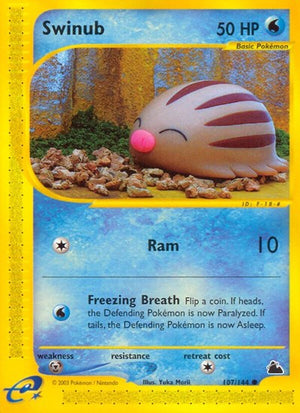 Pokemon TCG - Skyridge - Swinub - 107/144 - Reverse Holofoil