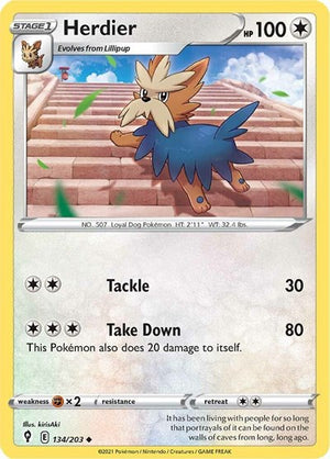 Pokemon TCG - SWSH07: Evolving Skies - Herdier - 134/203