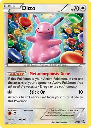 Pokemon TCG - XY Promos - Ditto - XY40 - Holofoil