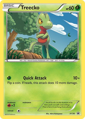 Pokemon TCG - XY Promos - Treecko - XY36 - XY36 - Holofoil